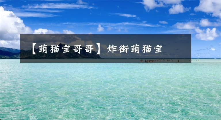 【萌猫宝哥哥】炸街萌猫宝