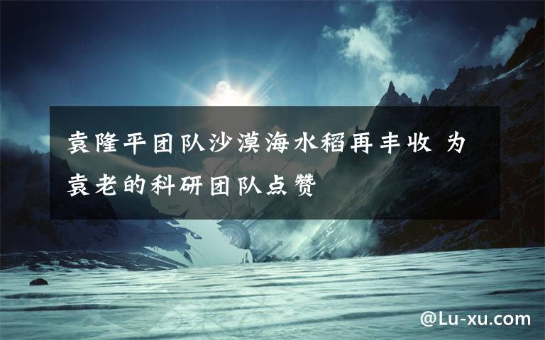 袁隆平团队沙漠海水稻再丰收 为袁老的科研团队点赞