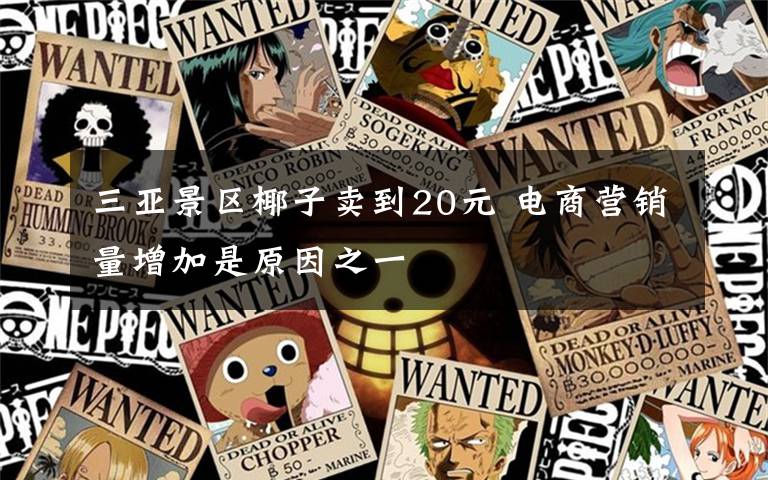 三亚景区椰子卖到20元 电商营销量增加是原因之一