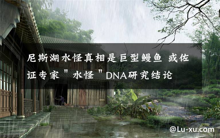 尼斯湖水怪真相是巨型鳗鱼 或佐证专家＂水怪＂DNA研究结论