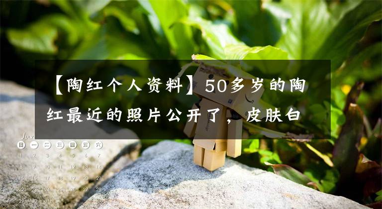 【陶红个人资料】50多岁的陶红最近的照片公开了,皮肤白眉气质好,身材好,看起来像“25岁”