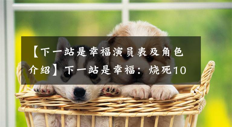 【下一站是幸福演员表及角色介绍】下一站是幸福：烧死10名演员，被称为《完美》剧组。