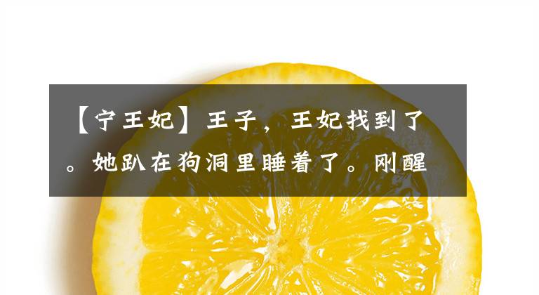 【宁王妃】王子,王妃找到了。她趴在狗洞里睡着了。刚醒。堵住了。我在哭。