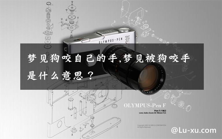 梦见狗咬自己的手,梦见被狗咬手是什么意思 ?