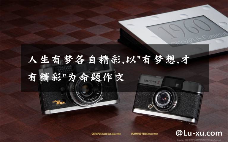 人生有梦各自精彩,以