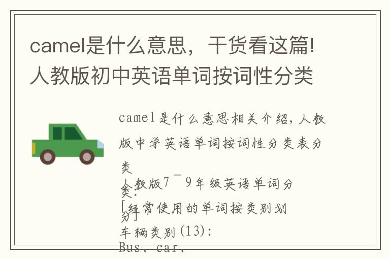 camel是什么意思,干货看这篇!人教版初中英语单词按词性分类表
