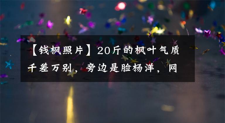【钱枫照片】20斤的枫叶气质千差万别,旁边是脸杨洋,网友:真是雕刻般的美貌
