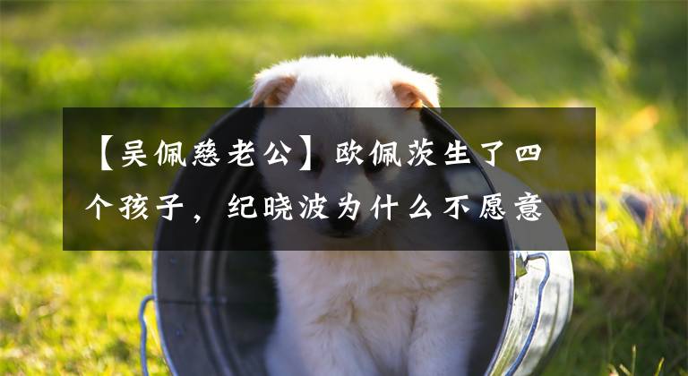 【吴佩慈老公】欧佩茨生了四个孩子，纪晓波为什么不愿意娶她？真正的原因是唤醒了无数女性