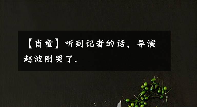 【肖童】听到记者的话，导演赵波刚哭了.