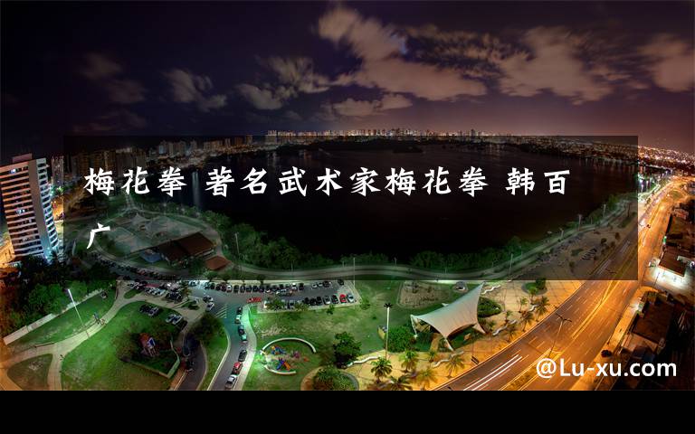 梅花拳 著名武术家梅花拳 韩百广