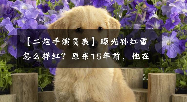 【二炮手演员表】曝光孙红雷怎么样红？原来15年前，他在这5部话剧中跑了顶级龙套