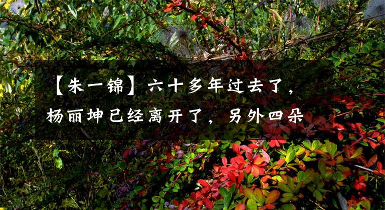 【朱一锦】六十多年过去了,杨丽坤已经离开了,另外四朵金币也已经进入了老年年。