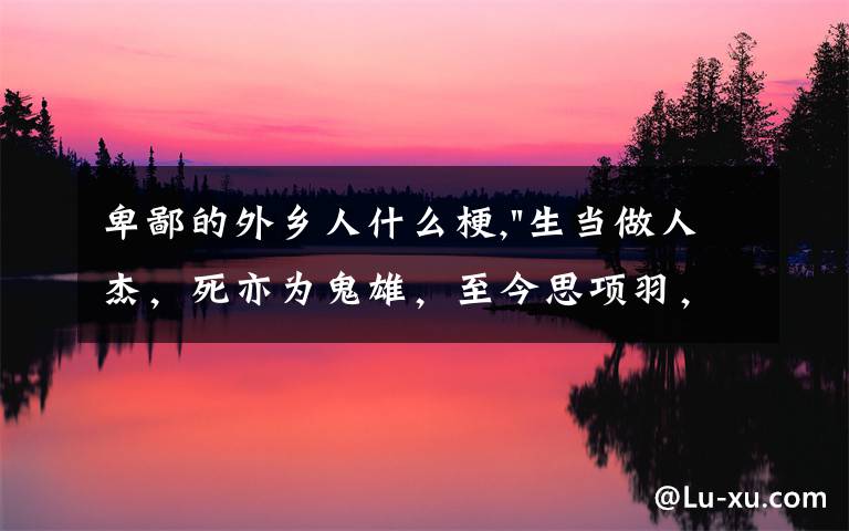 卑鄙的外乡人什么梗,