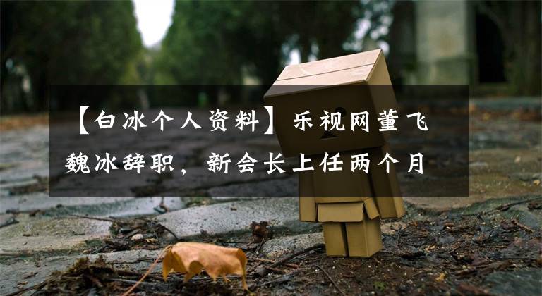 【白冰个人资料】乐视网董飞魏冰辞职,新会长上任两个月后担任多职。