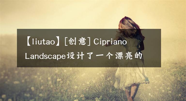 【liutao】[创意] Cipriano  Landscape设计了一个漂亮的小提琴游泳池