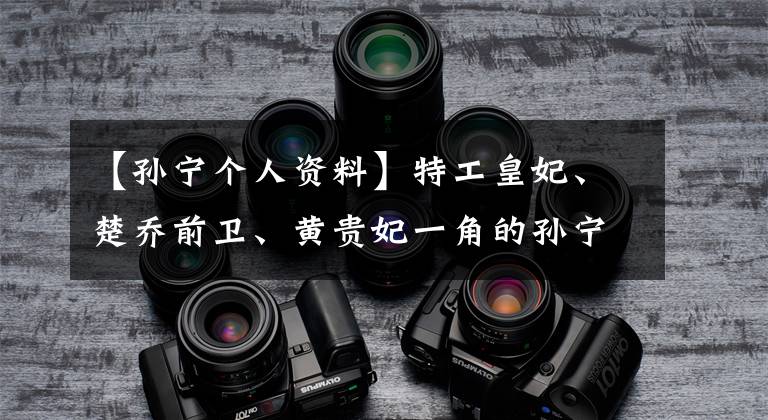 【孙宁个人资料】特工皇妃、楚乔前卫、黄贵妃一角的孙宁个人信息作品介绍。