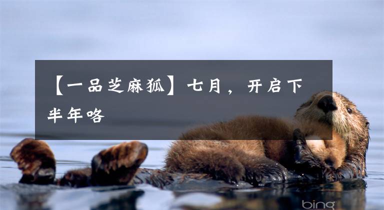 【一品芝麻狐】七月,开启下半年咯