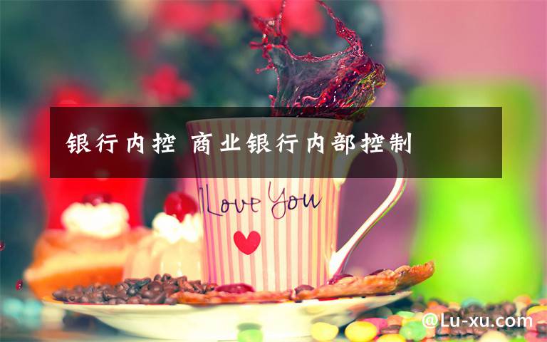 银行内控 商业银行内部控制