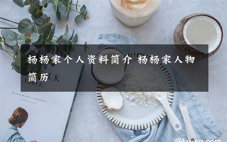 杨杨家个人资料简介 杨杨家人物简历