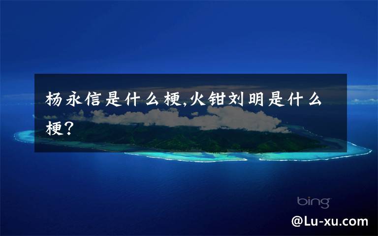 杨永信是什么梗,火钳刘明是什么梗？