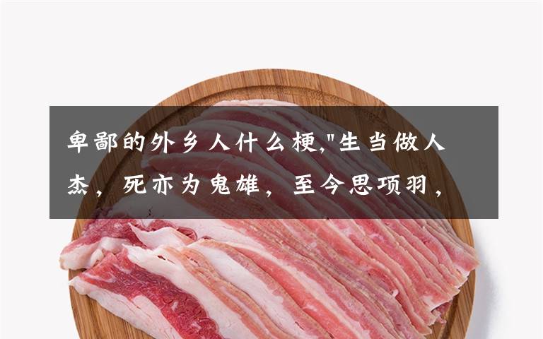 卑鄙的外乡人什么梗,