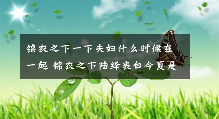 锦衣之下一下夫妇什么时候在一起 锦衣之下陆绎表白今夏是哪一集 锦衣之下34集陆绎请今夏吃饭