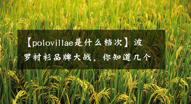 【polovillae是什么档次】波罗衬衫品牌大战,你知道几个?