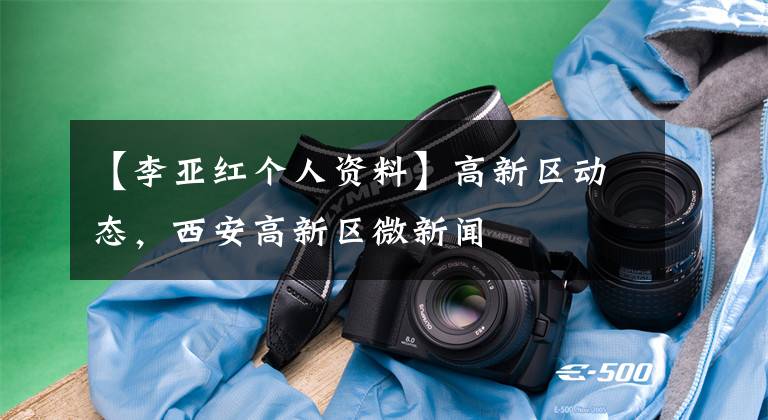 【李亚红个人资料】高新区动态,西安高新区微新闻