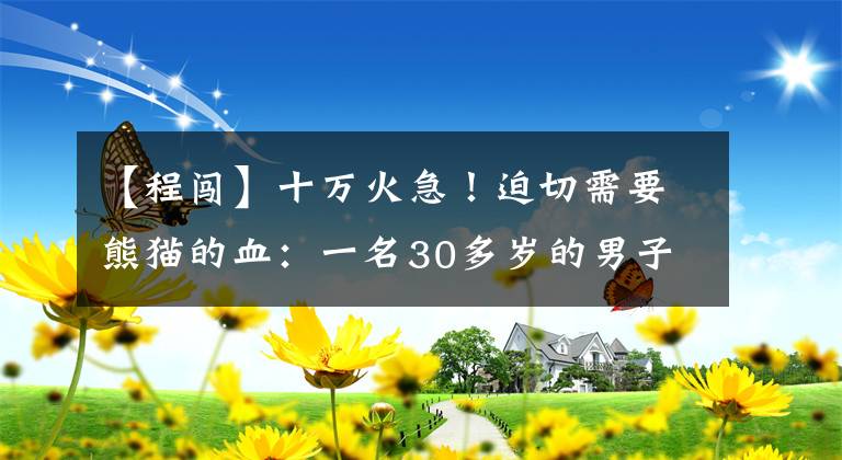 【程闯】十万火急！迫切需要熊猫的血：一名30多岁的男子因内出血而生命垂危