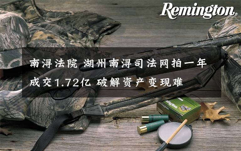 南浔法院 湖州南浔司法网拍一年成交1.72亿 破解资产变现难