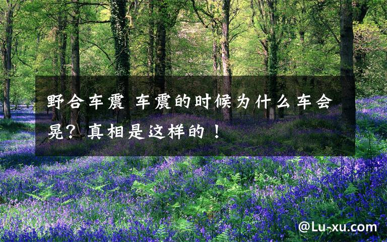野合车震 车震的时候为什么车会晃?真相是这样的!