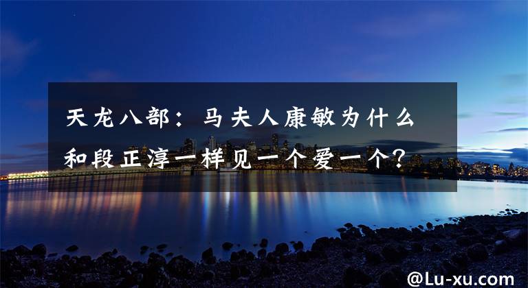 天龙八部:马夫人康敏为什么和段正淳一样见一个爱一个? 段正淳康敏的儿子