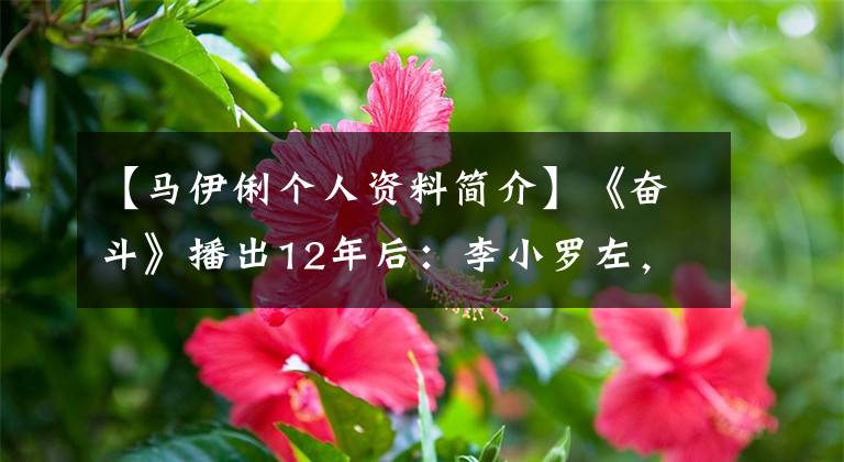 【马伊俐个人资料简介】《奋斗》播出12年后：李小罗左，迈瑞右