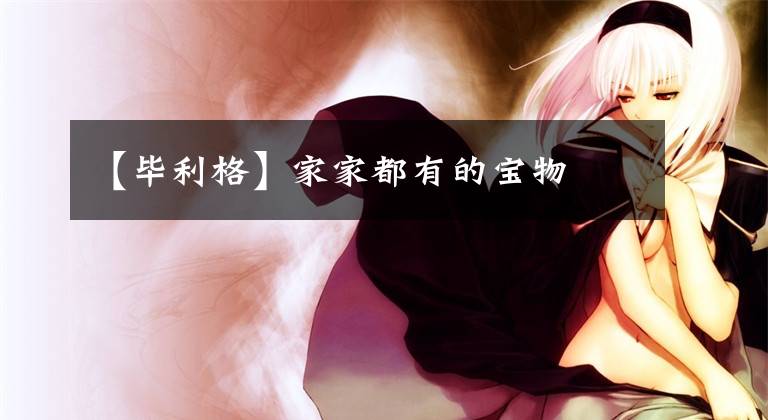 【毕利格】家家都有的宝物