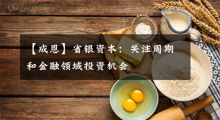 【成恩】省银资本:关注周期和金融领域投资机会