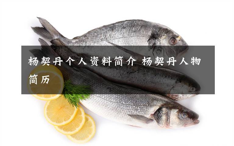 杨契丹个人资料简介 杨契丹人物简历