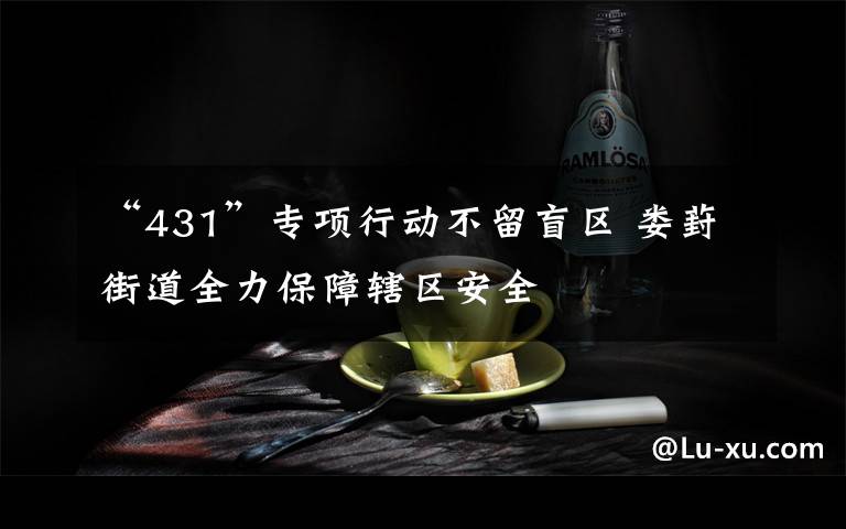 “431”专项行动不留盲区 娄葑街道全力保障辖区安全