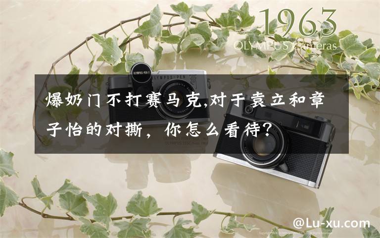 爆奶门不打赛马克,对于袁立和章子怡的对撕,你怎么看待?