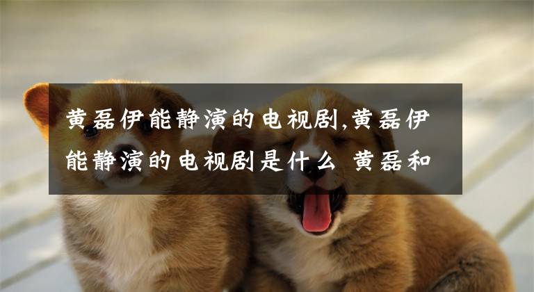 黄磊伊能静演的电视剧,黄磊伊能静演的电视剧是什么 黄磊和伊能静演过什么剧