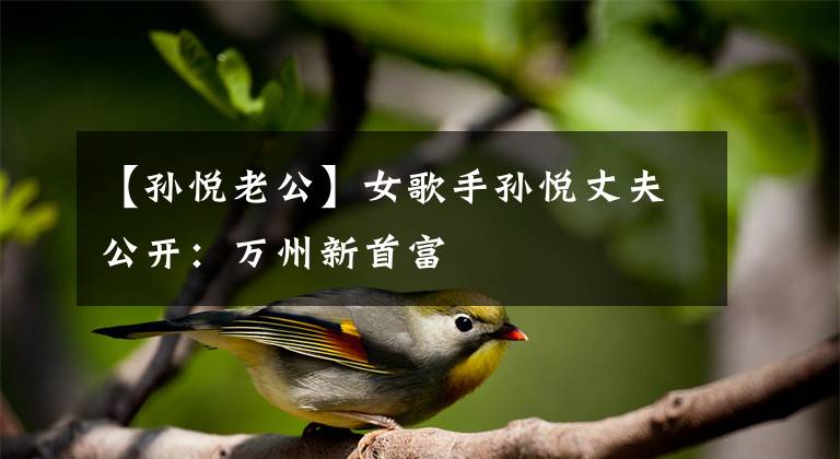 【孙悦老公】女歌手孙悦丈夫公开：万州新首富