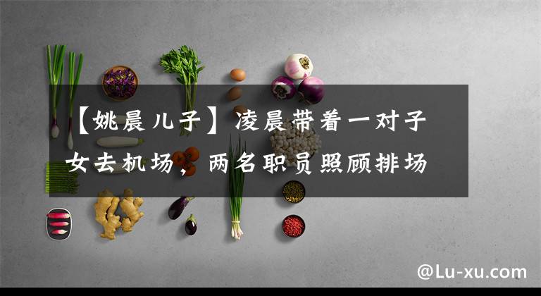 【姚晨儿子】凌晨带着一对子女去机场,两名职员照顾排场,6岁的儿子踏进去了