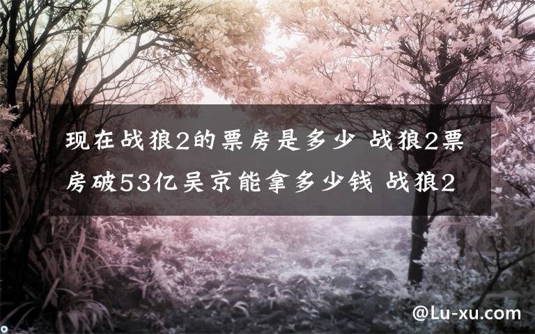 现在战狼2的票房是多少 战狼2票房破53亿吴京能拿多少钱 战狼2票房分红吴京收入分析