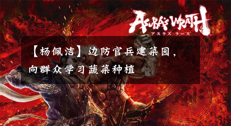 【杨佩洁】边防官兵建菜园，向群众学习蔬菜种植