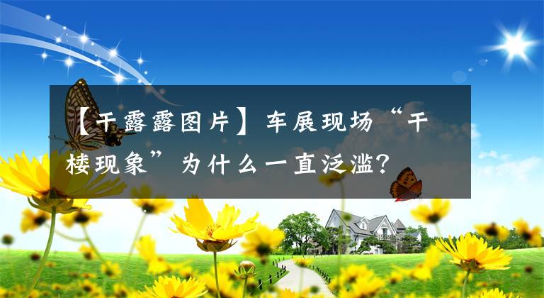 【干露露图片】车展现场“干楼现象”为什么一直泛滥?