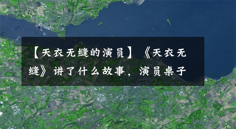 【天衣无缝的演员】《天衣无缝》讲了什么故事,演员桌子角色介绍