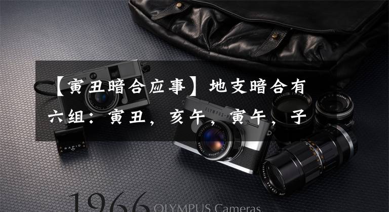 【寅丑暗合应事】地支暗合有六组:寅丑,亥午,寅午,子巳,巳酉,申卯