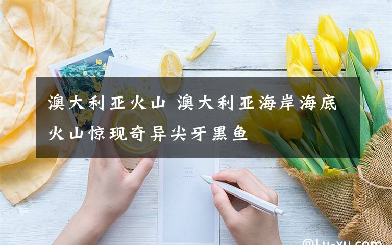 澳大利亚火山 澳大利亚海岸海底火山惊现奇异尖牙黑鱼