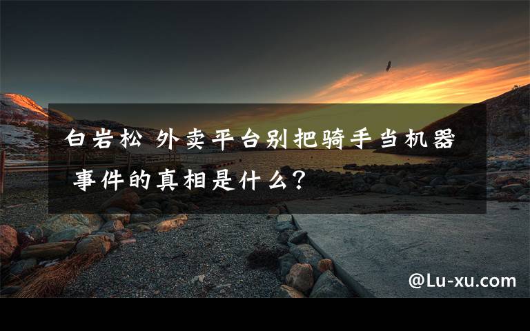 白岩松 外卖平台别把骑手当机器 事件的真相是什么?