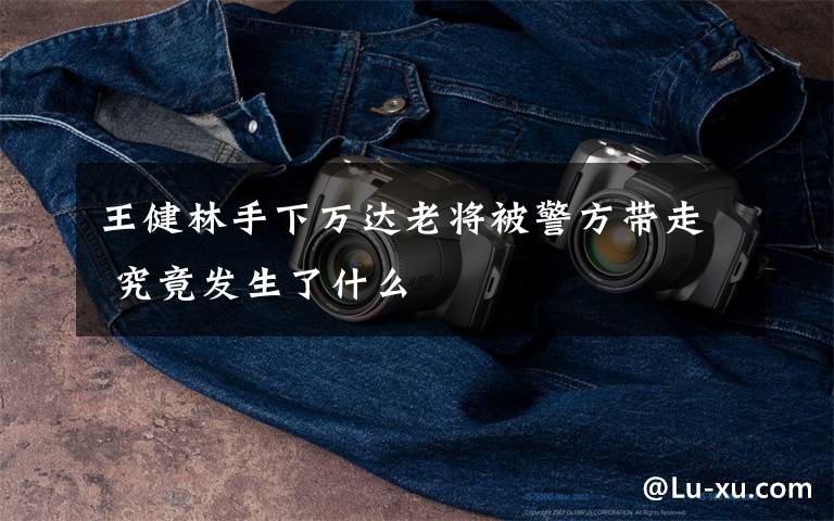 王健林手下万达老将被警方带走 究竟发生了什么