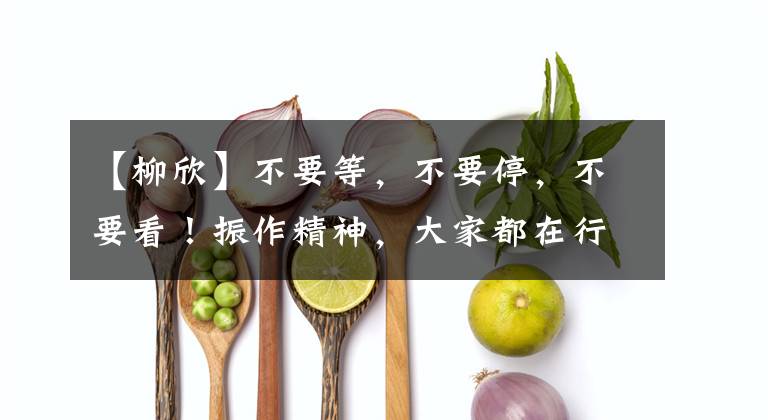 【柳欣】不要等，不要停，不要看！振作精神，大家都在行动！